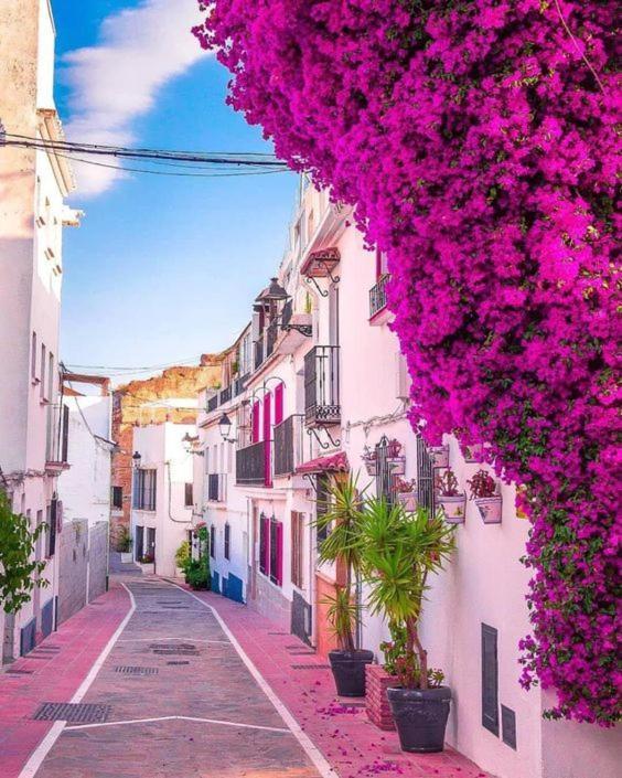 Apartamento Casa De Frida Marbella Exterior foto